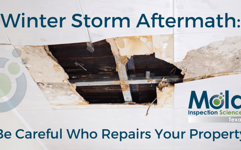 Mold Inspection Sciences Texas Warns Consumers Against Unlicensed Remediation Efforts Amid Disaster Cleanup Press Release